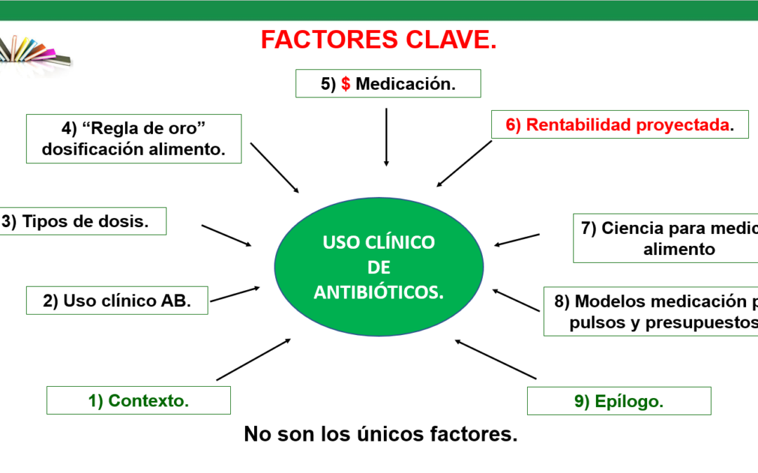 Las imperdibles del Congreso AMVECAJ: Antibióticos en alimentos de cerdos: Uso clínico, costos y rentabilidad.