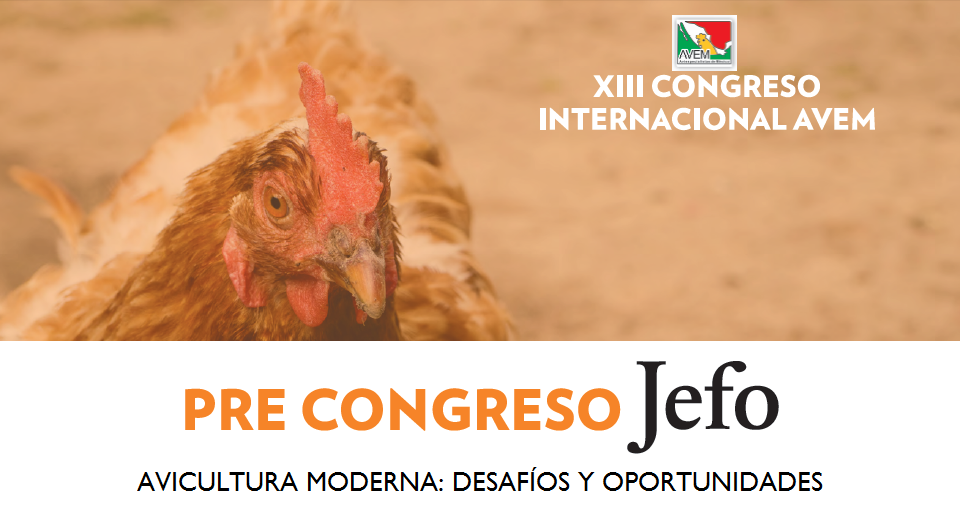 El precongreso JEFO mostrará los desafíos y oportunidades de la avicultura moderna, en AVEM 2020