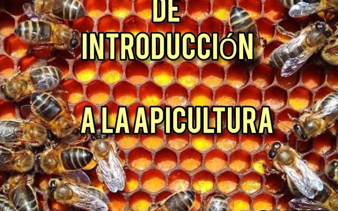 Curso gratuito de introducción a la apicultura.