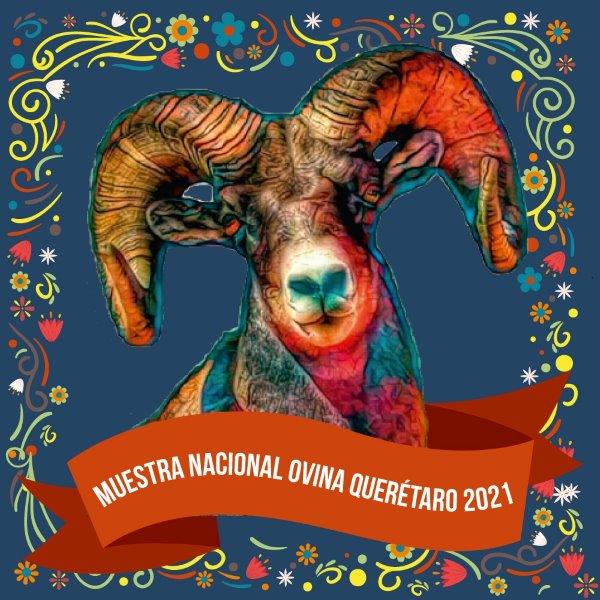 Nuevamente Querétaro acogerá a los ovinocultores del país en el evento más añorado.
