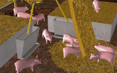 Con la visión al 2035 y atendiendo el día a día, OPORMEX apuntala a la nueva porcicultura mexicana.