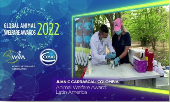 Veterinario latinoamericano es reconocido con premio mundial de bienestar animal.