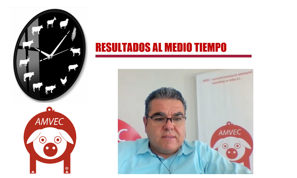 AMVEC vigilante realizará en el congreso diagnóstico de la salud y productividad porcina en México.