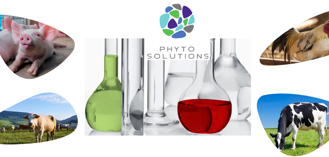 PHYTO SOLUTIONS produce fitogénicos con rigor de productos farmacéuticos que asegura homogenidad y dosificaciones precisas.