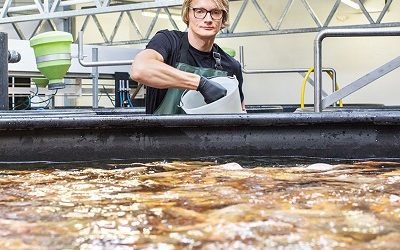 Procesadores de subproductos animales (Renderers) reciben $1.8 millones USD para fortalecer mercados globales.