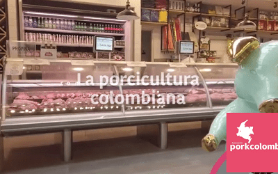 El acontecer de la porcicultura colombiana previo a PorkAméricas 2024