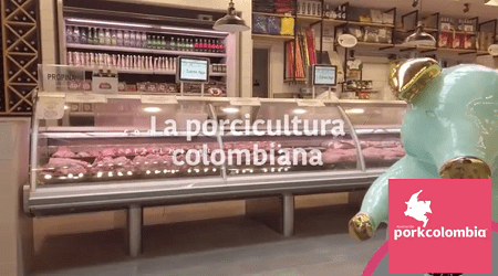 El acontecer de la porcicultura colombiana previo a PorkAméricas 2024