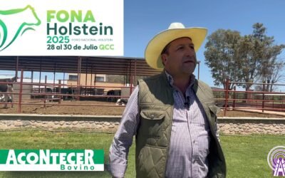 Holstein responsable de la buena leche que se produce en México. FonaHolstein 2025 lo corroborará.