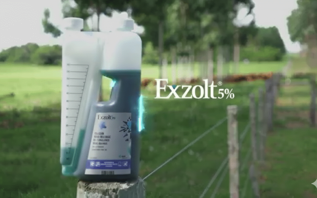 MSD Salud Animal aporta efectiva y confiable innovación para prevenir y tratar el Gusano Barrenador en México.