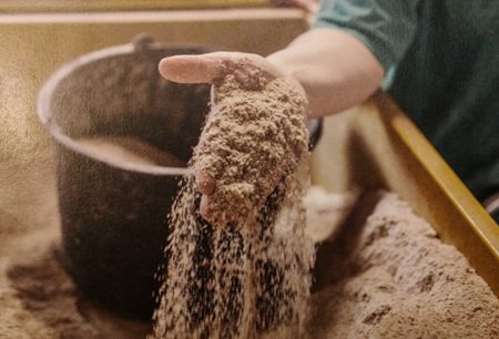 Cinética de Proteínas y Dinámica de la Digestión, conceptos que enmarcan la nutrición animal del futuro.