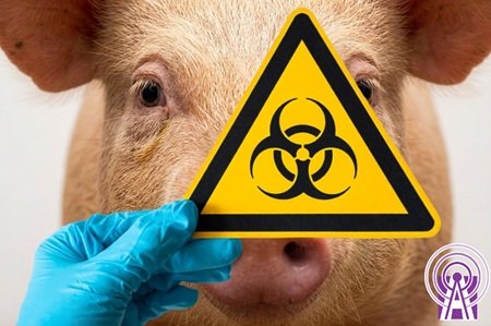 Informe para la ONU desconoce sustentabilidad y acatamiento de normatividad ambiental de la porcicultura en Yucatán. OPORMEX pide diálogo técnico basado en evidencia científica.