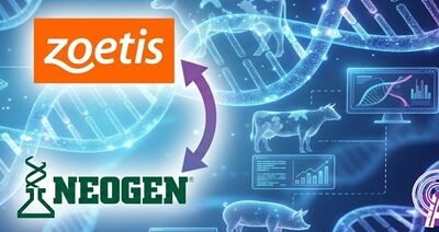 Negocio redondo: Zoetis expande su alcance global en genómica y Neogen simplifica su portafolio.