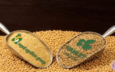 Royal Agrifirm Group adquiere Hamlet Protein: Un gigante de la nutrición para animales jóvenes refuerza su presencia global.