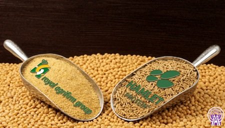 Royal Agrifirm Group adquiere Hamlet Protein: Un gigante de la nutrición para animales jóvenes refuerza su presencia global.