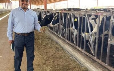 ¿Cómo hacer que tu ganadería sea más rentable hoy? Horacio Zamora nos lo cuenta.