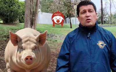 El LVIII Congreso AMVEC estrenará sede y formato derrochando conocimiento y convivencia.