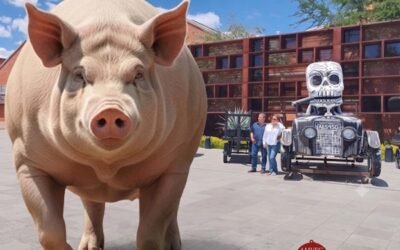 Éxito del Congreso AMVEC en Aguascalientes despejó dudas por nuevo formato e innovación tecnológica.