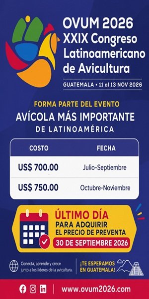 OVUM flayer sept 300