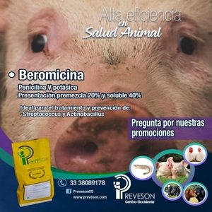 Beromicina