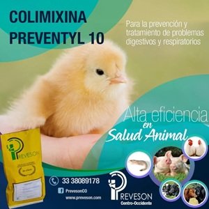 Colimixina prevenil 300
