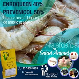 Enroqueen camaron 300