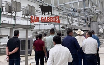En la nueva planta de proceso San Gabriel, la más moderna y eficiente de México, confluyen innovación, inocuidad y bienestar animal.