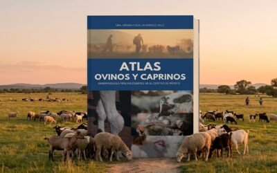 UN LEGADO VISUAL PARA LA MEDICINA VETERINARIA: EL “ATLAS, OVINOS Y CAPRINOS” DE LA DRA. CITLALI HERNÁNDEZ.